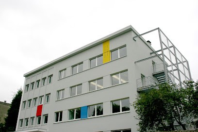 Bibliothèque Universitaire, Sarreguemines, Bibliothèque à Sarreguemines